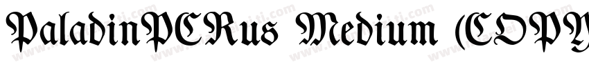 PaladinPCRus Medium (COPY 1)字体转换